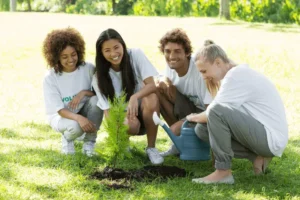A group of people smile while planting a small plant.
