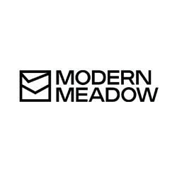Modern Meadow 2