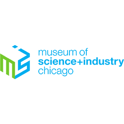 msi chicagoo 1 1