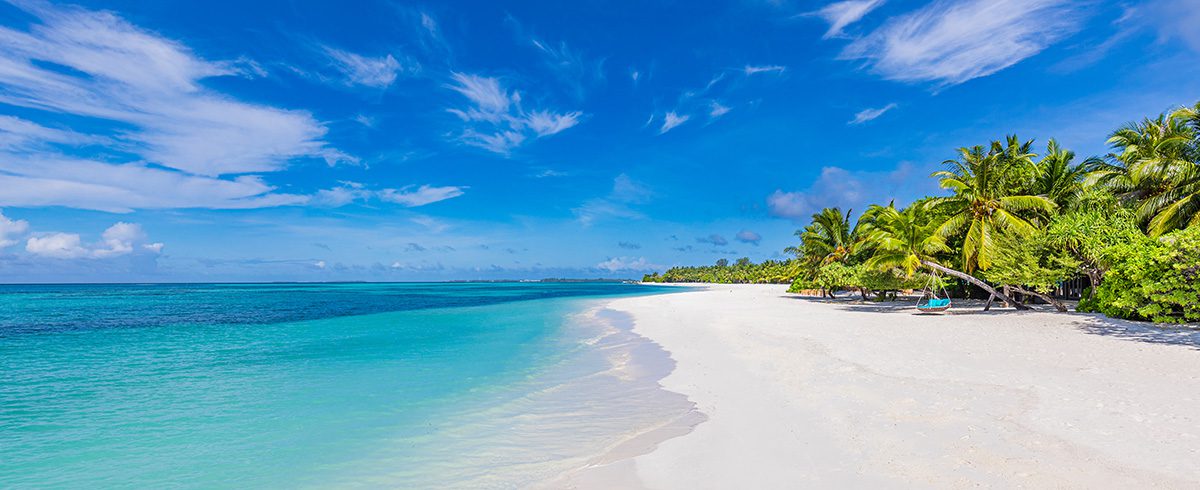 A sunny beach landscape