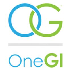 One GI Logo Transparent