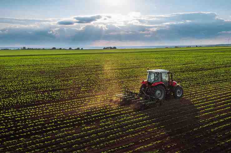 A truck moving on a crop field