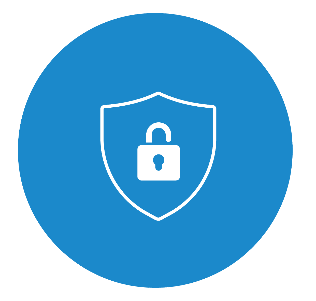 Data Security Icon