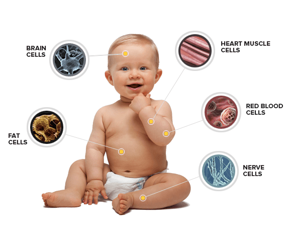 Microservices 11 ID50MicroservicesbasedApplicationIntegrationforSaaSHybridCloudsandIoTused media
