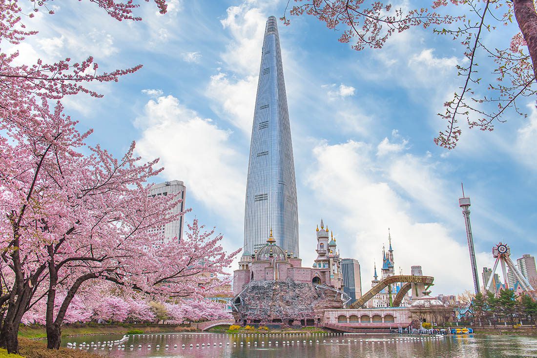 How To Homepage 1 Lotte World Amusement Park and Seokchon Lake in Spring Cherry blossoms bloom