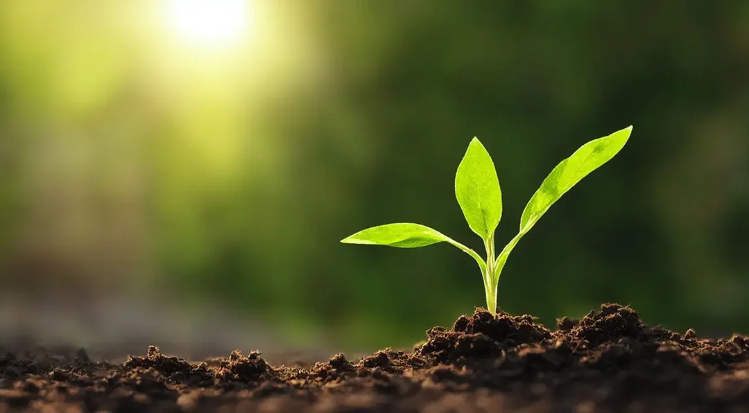 Automating the Employee Identity Lifecycle with Hire2Retire: From Day One to Departure