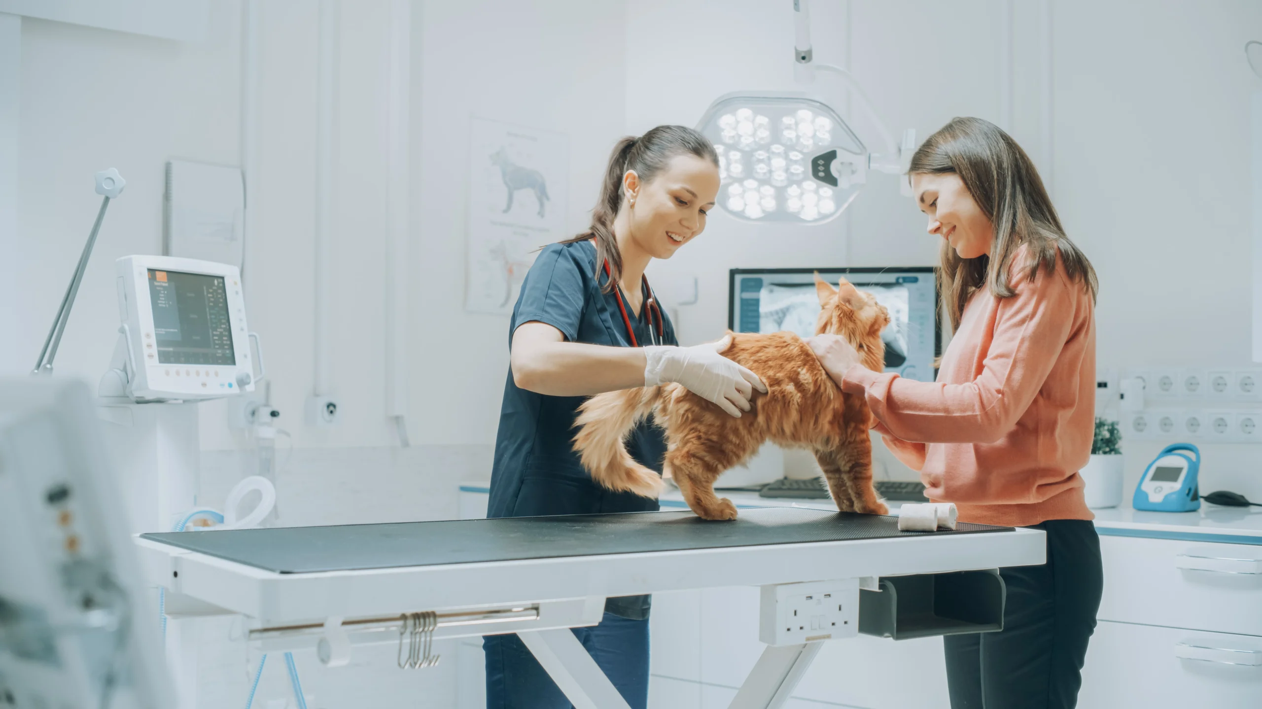 People at United Veterinary Care