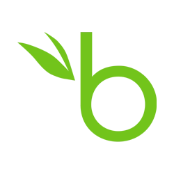 BambooHR Icon 250x250 No Background