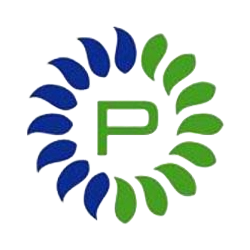 Paymaster Icon 250x250 No Background