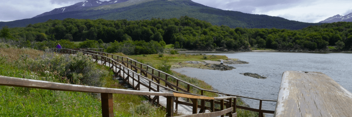 How To Homepage 3 Paycom to AD Integration: Reduce Manual Work