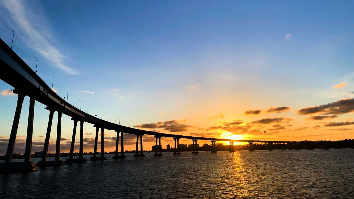 Identity and Access Management (IAM) Tools