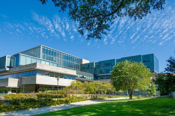 Why Modern Enterprises Need Identity and Access Management (IAM) Software in 2026