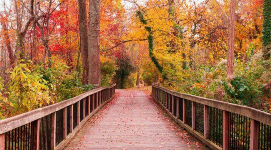 7 Steps to Introduce Workforce Identity Management