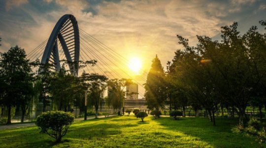 ADP Workforce Management Integrations