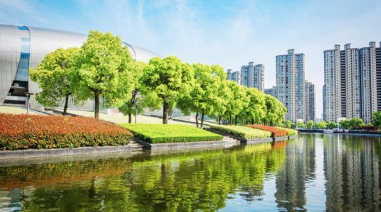 Automating Identity Governance