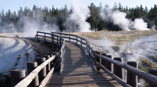 Integration Hub Observe featured image