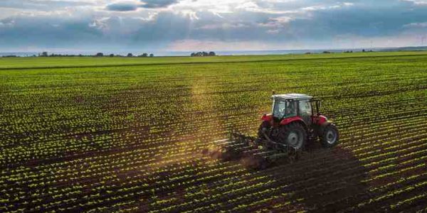 A truck moving on a crop field