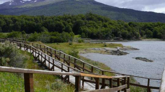 Paycom to AD Integration: Reduce Manual Work