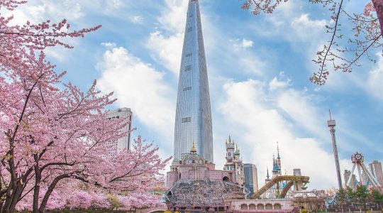 Lotte World Amusement Park and Seokchon Lake in Spring Cherry blossoms bloom